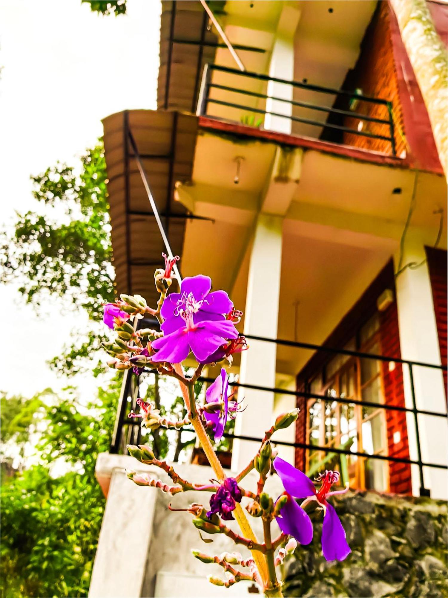 Ella Rock Glance Villa Ngoại thất bức ảnh