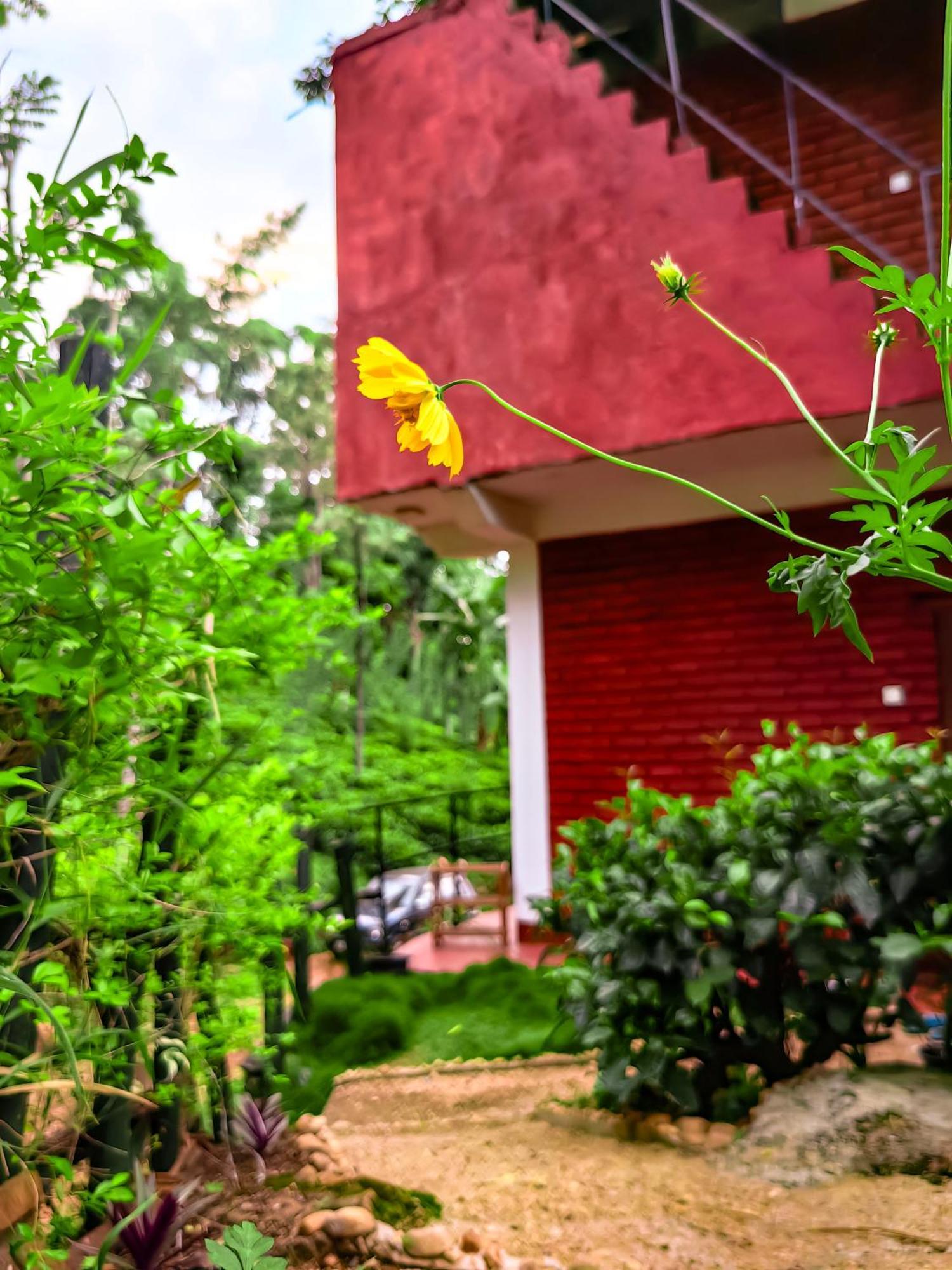 Ella Rock Glance Villa Ngoại thất bức ảnh